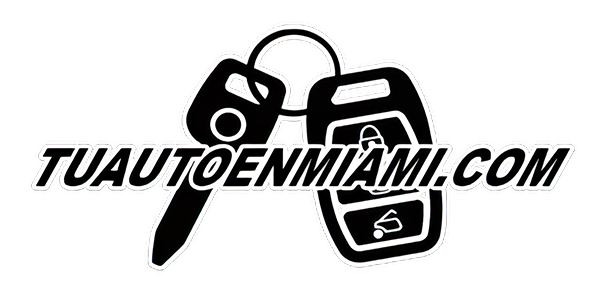Logo solo web